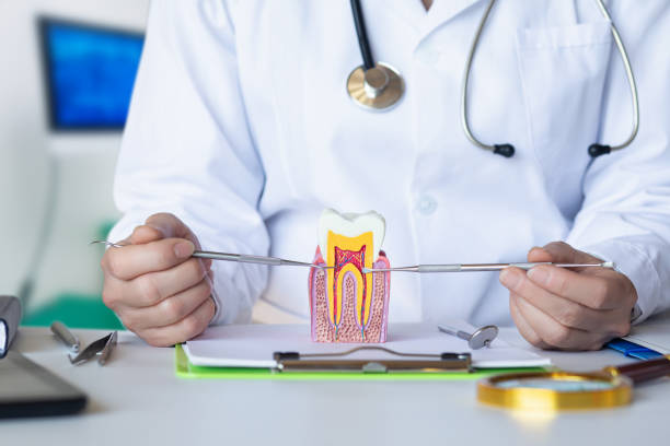 Best Emergency Dental Care for Broken or Chipped Teeth in Harris Hill, NY